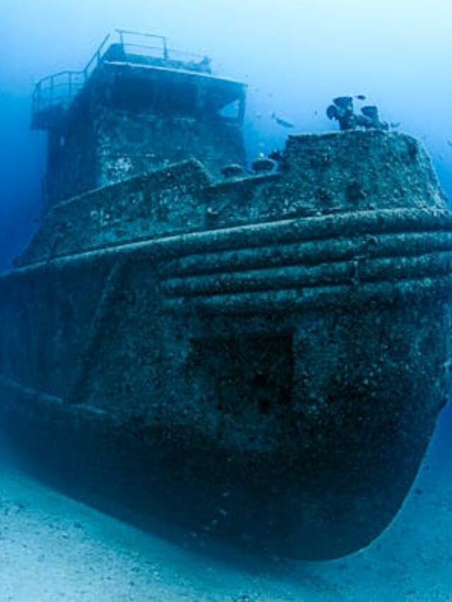 credit Leonardo Lamas on pexel.com