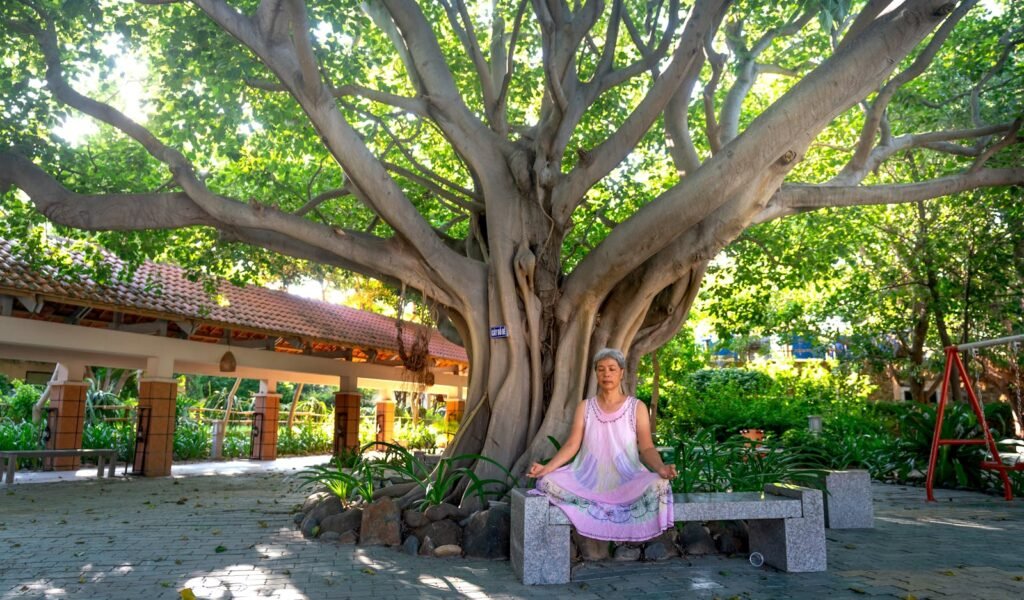 A senior woman meditates under a large tree in a tranquil garden, embracing wellness and mindfulness.