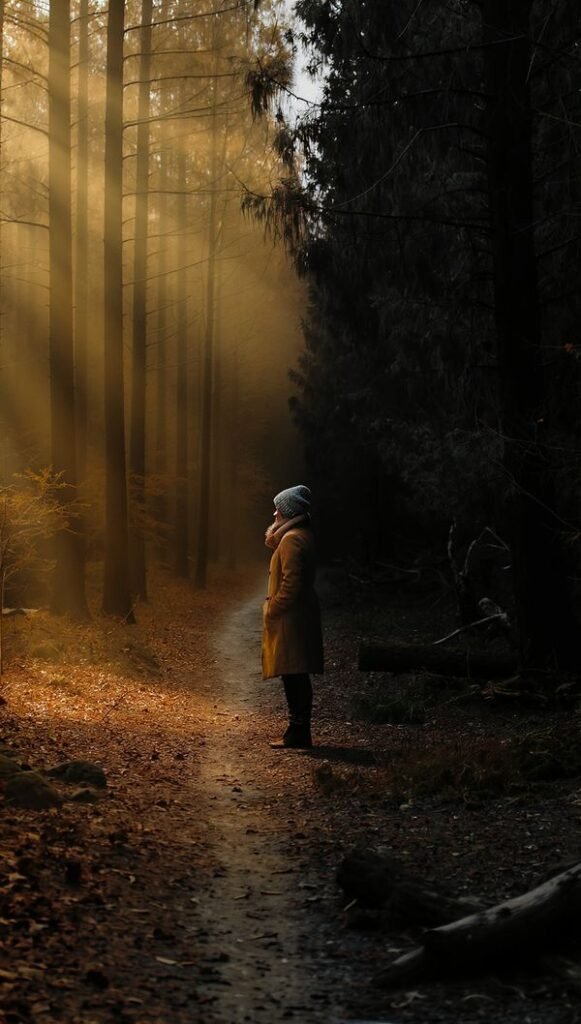 Which Path Does Your Intuition Choose