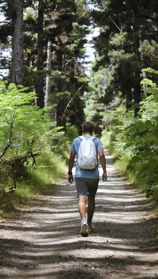 Exercise for Lowering Blood Pressure Naturally