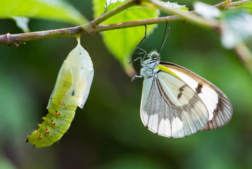 Spiritual Awakening - Your Beautiful Rebirth