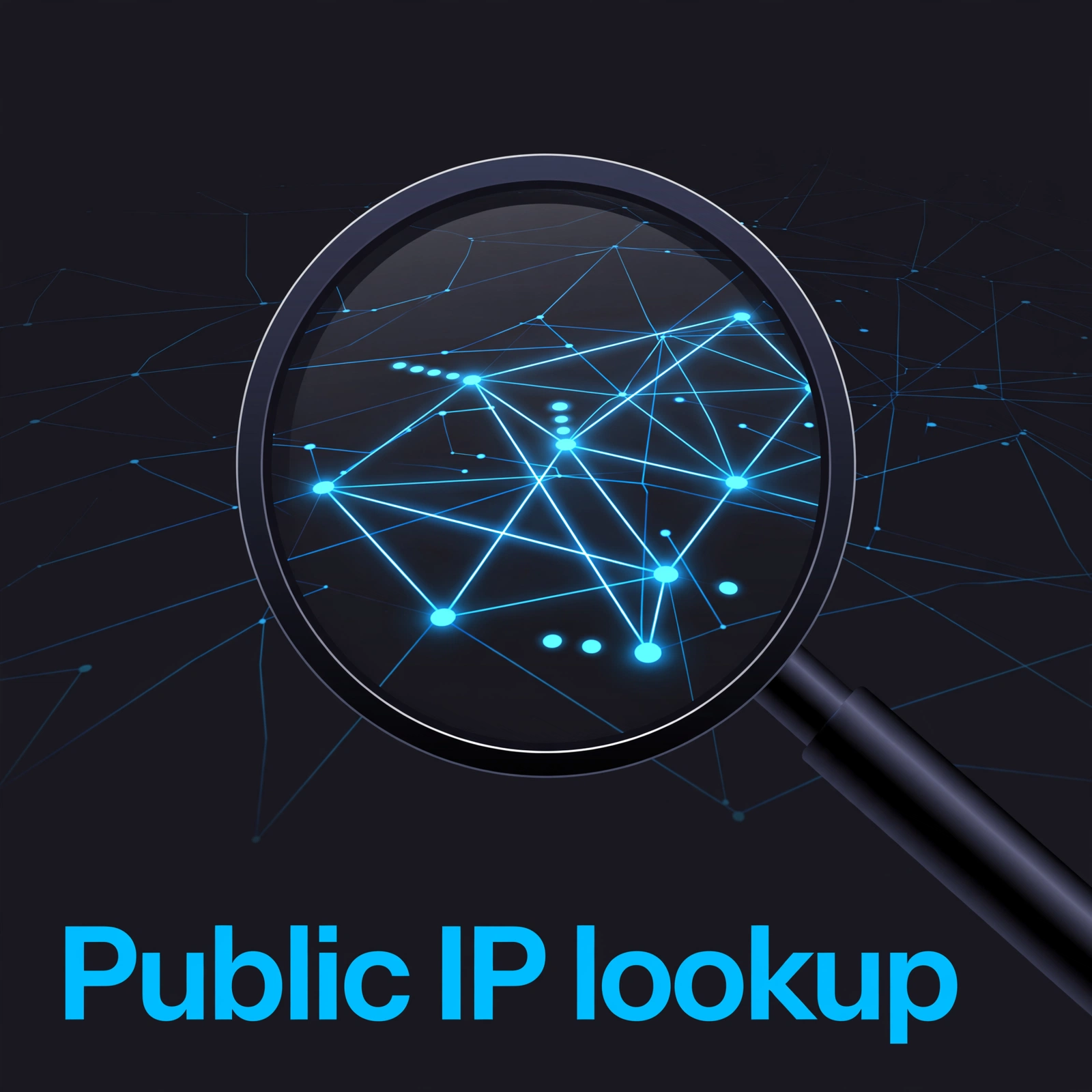 Public IP lookup